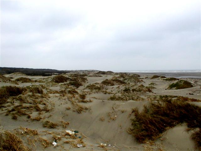 Dunes under the clouds